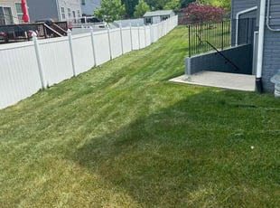 Ben C.'s Lawn Service service result