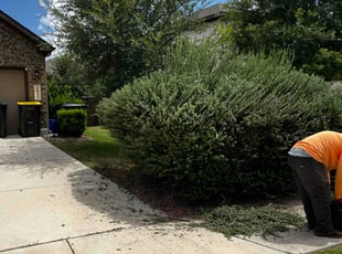 Bush Trimming by Fredrick Miller for Jenn I. in Schertz, TX