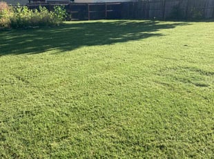 Semaj J.'s Lawn Mowing Service service result
