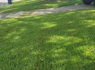 Joseph W.'s Grass Cutting service result