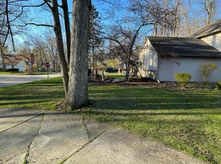 Leaf Removal by Colin Hodges for Jonathan T. in West Bloomfield Township, MI