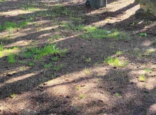 Cleanups by Robert Gilleland for Megan L. in Everett, WA