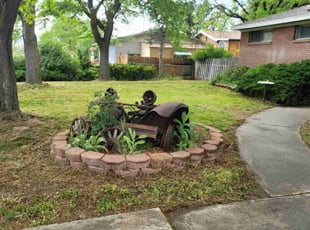 Patricia S.'s Lawn Service service result