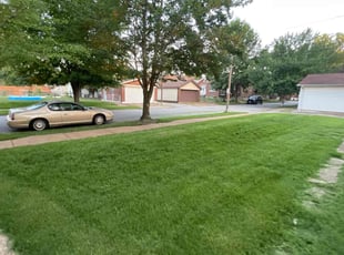 Chris C.'s Lawn Mowing service result