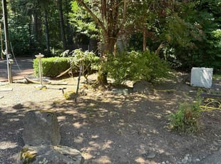 Weeding by Lawrence Tuioti for Pankaj M. in Redmond, WA