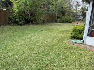 Pearley H.'s Lawn Service service result