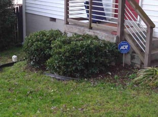 Bush Trimming by Milan McDaniel for Ralph H. in Nashville, TN