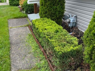 Bush Trimming by Brian Goodlow for Estefany L. in East Brunswick, NJ