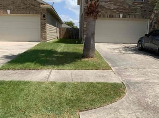 Marko P.'s Lawn Service service result