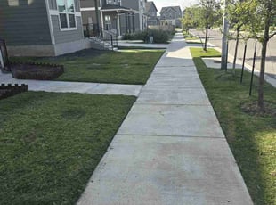 Pandia R.'s Lawn Care service result
