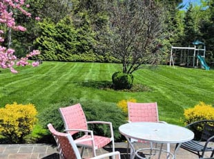 Kenneth P.'s Yard Cutting service result