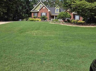 Bush Trimming by Donald Rouis for Haide M. in Bishop, GA