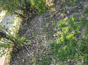 Cleanups by Javis Hogan for Christian H. in Bellevue, NE