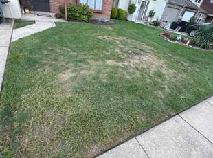 Weeding by Ryan Cunningham for Jim B. in Clementon, NJ