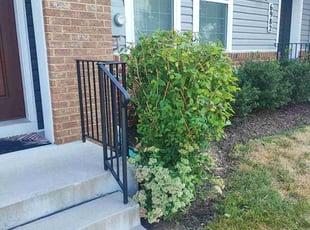 Bush Trimming by Icaro Dos Santos for efua t. in Frederick, MD