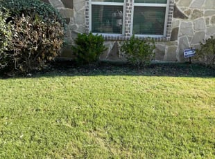 Weeding by Leave it UP 2 Us, Llc for CHRISTINA M. in Fort Worth, TX