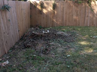 Cleanups by Muhammad Rasheed for taeler h. in Oklahoma City, OK