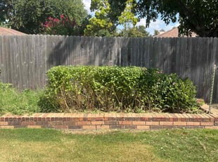 Bush Trimming by Judy Chism for Robert R. in Oklahoma City, OK