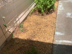 Weeding by Glenda Portillo for Ericka R. in Jonesboro, GA
