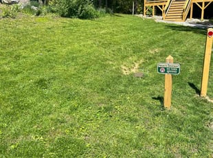 Vonnida K.'s Lawn Mowing Service service result