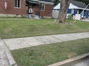Dana C.'s Yard Cutting service result