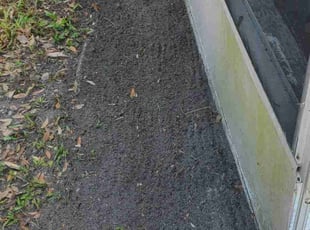 Leaf Removal by Chris Guillen for Mary L. in New Port Richey, FL
