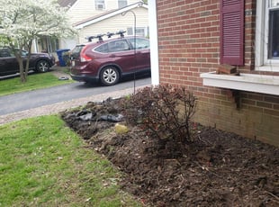 Weeding by Jamil Hafeeza for Nina C. in Willingboro, NJ