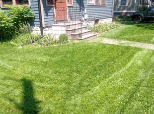 Joshua W.'s Lawn Mowing Service service result