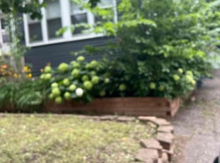 Weeding by Daniel Powers for Nabil L. in Minneapolis, MN