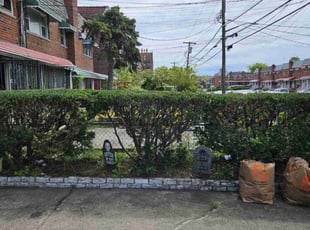 Bush Trimming by Ruben Hernandez for Ashley B. in The Bronx, NY