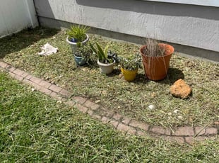 Cleanups by Robbie Mcgee for Paul N. in Jacksonville, FL