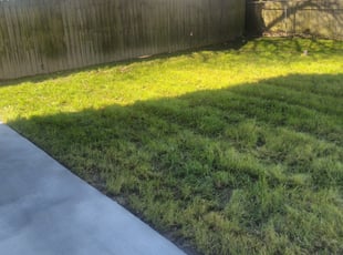 Leaf Removal by James Johnson for Danielle I. in Hampton, VA