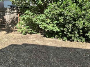 Cleanups by Johnie Parker for Jamie D. in Fresno, CA