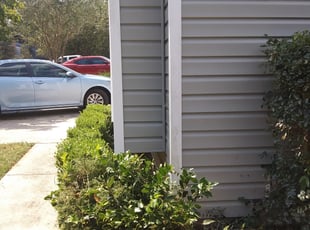 Bush Trimming by Alan Hollis for Shaun F. in Tallahassee, FL