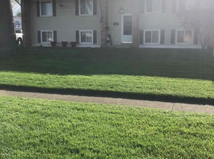 Mary B.'s Lawn Mowing Service service result
