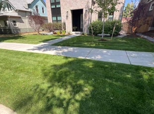 Sheneka j.'s Yard Cutting service result