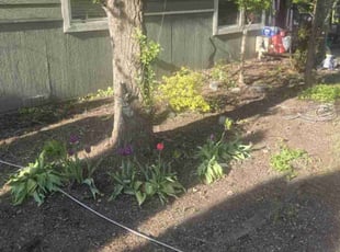 Weeding by Meribeth Phipps for Raychale O. in Spokane Valley, WA