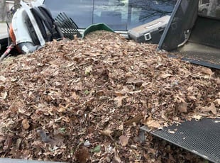 Leaf Removal by Scott Culala for Omar Y. in Olathe, KS
