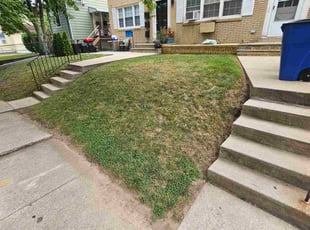Weeding by Efrain Colon for Amr A. in Staten Island, NY