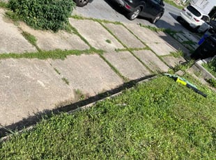 Leaf Removal by Evans Ogamba for Gregory S. in Harrisburg, PA