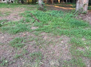 Cleanups by Jeremy Waller for Joshua J. in Acworth, GA