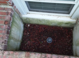 Leaf Removal by Ronnell Leak for Dave L. in Washington, DC