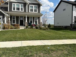 Michael N.'s Lawn Maintenance service result