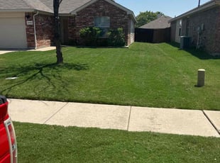 Krystal G.'s Yard Cutting service result