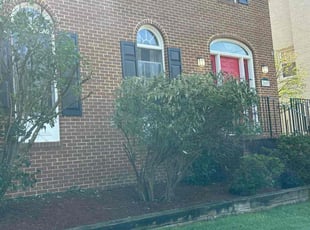 Bush Trimming by Fidel Rodriguez for P R. in Alexandria, VA