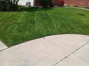 Anne C.'s Lawn Mowing service result