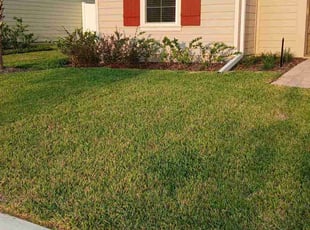 Jeannie G.'s Lawn Mowing service result