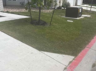 Reed D.'s Lawn Mowing Service service result
