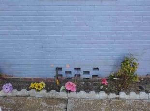 Weeding by Gray Allen for Shyniece M. in New Orleans, LA