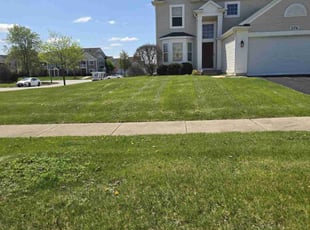 Rajeswari P.'s Lawn Maintenance service result